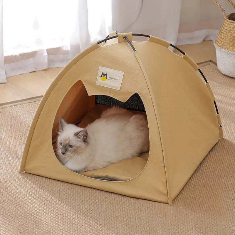 Cat Tenet House