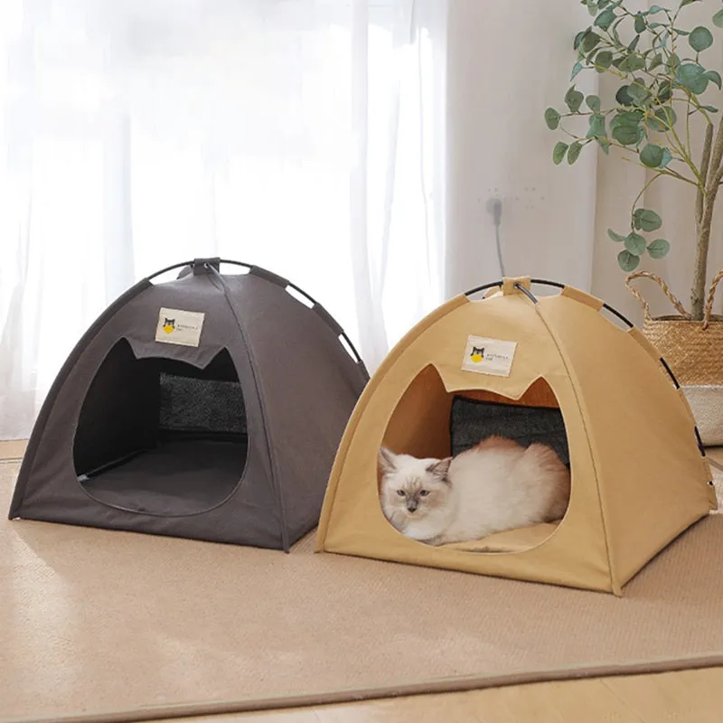 Cat Tenet House