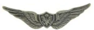 EagleEmblems P15083 Wing-Army,Aircrew,Basic (Mini) (1.25'')