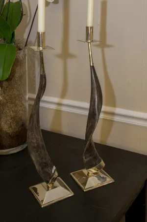 Horn and Silver Candlesticks