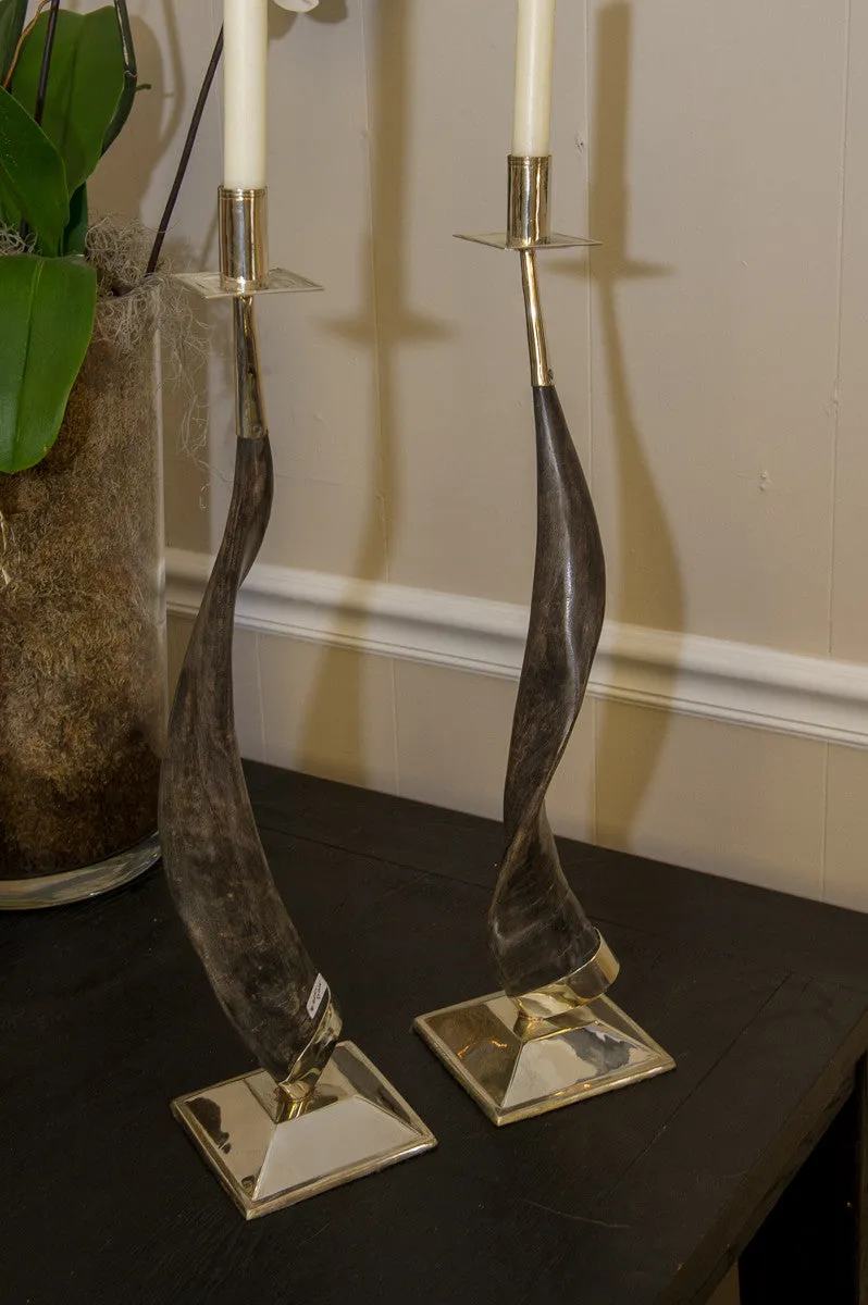 Horn and Silver Candlesticks
